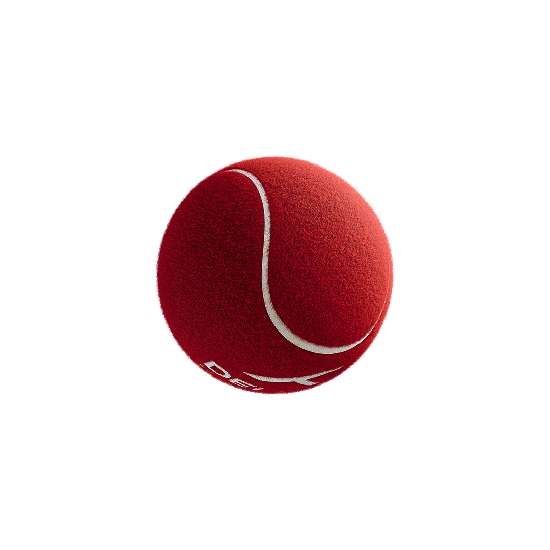 HUNDRED Delta 6 Core Heavy Cricket Tennis Ball Box (PACK OF 6) - Red