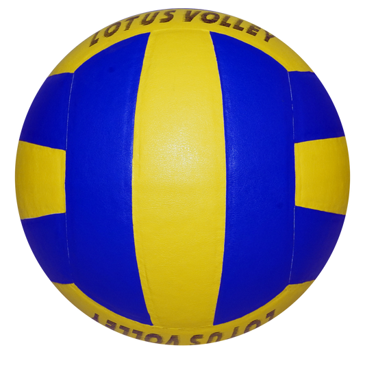 SPARTAN Lotus Volleyball