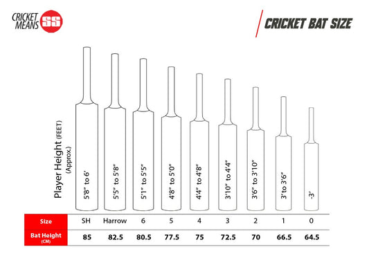 SS Master 100 Kashmir Willow Cricket Bat