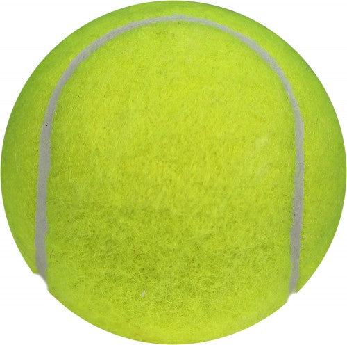 COSCO LITE Cricket Tennis Ball Single Ball Back View