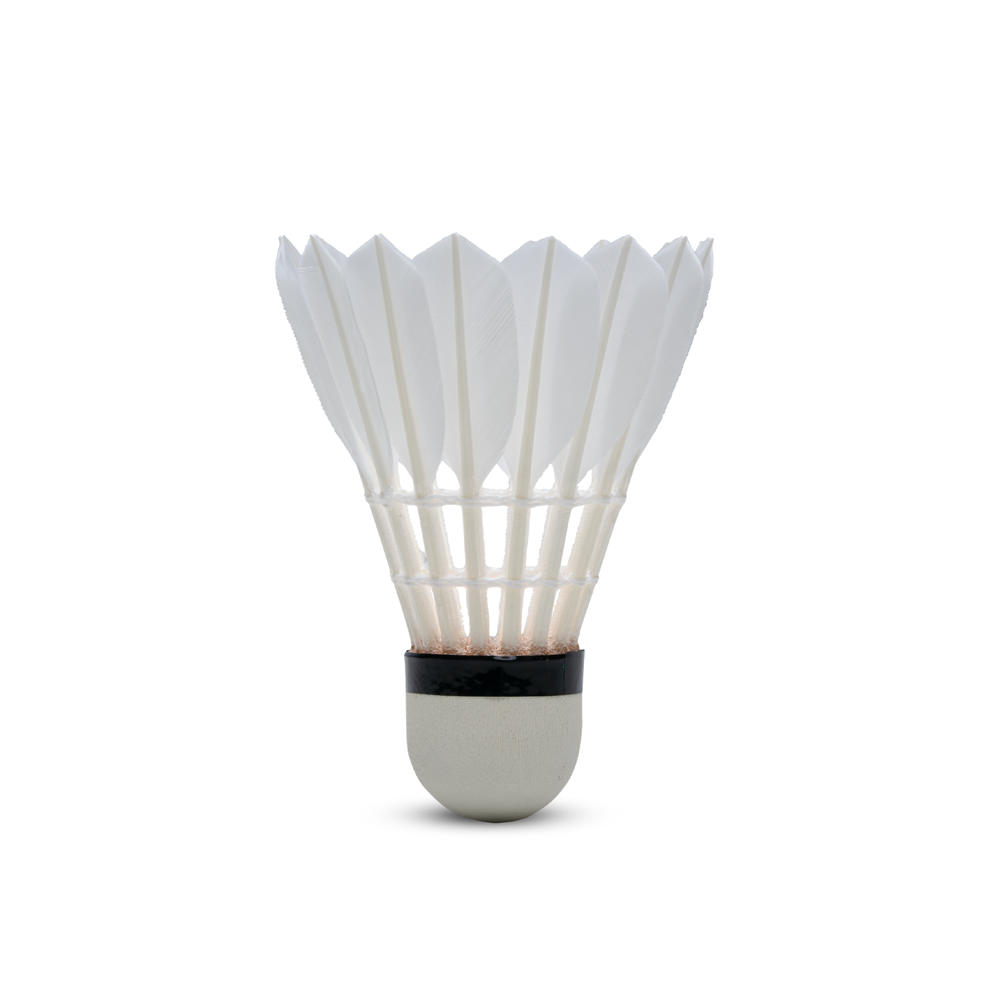 HUNDRED F8 Feather Shuttlecock Box Speed 76 (Pack of 10 shuttles)