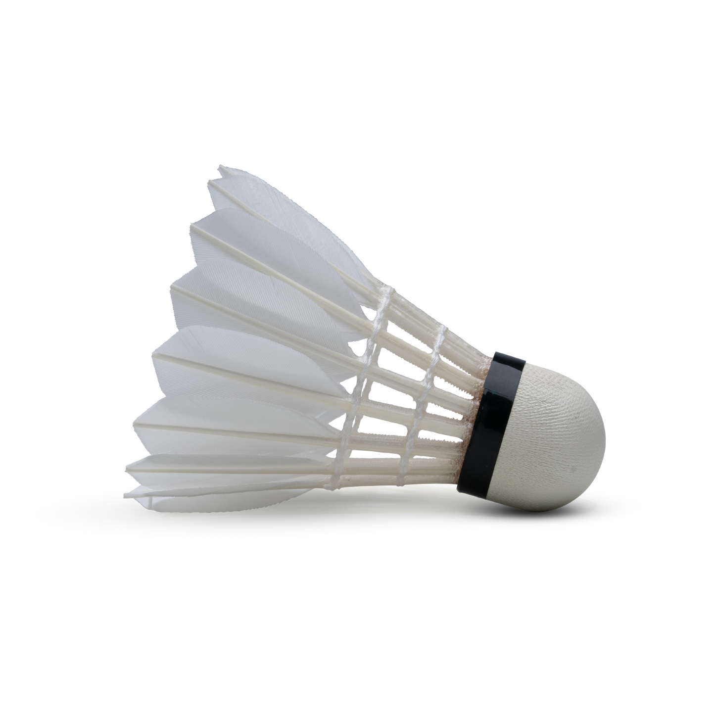 HUNDRED F8 Feather Shuttlecock Box Speed 76 (Pack of 10 shuttles)