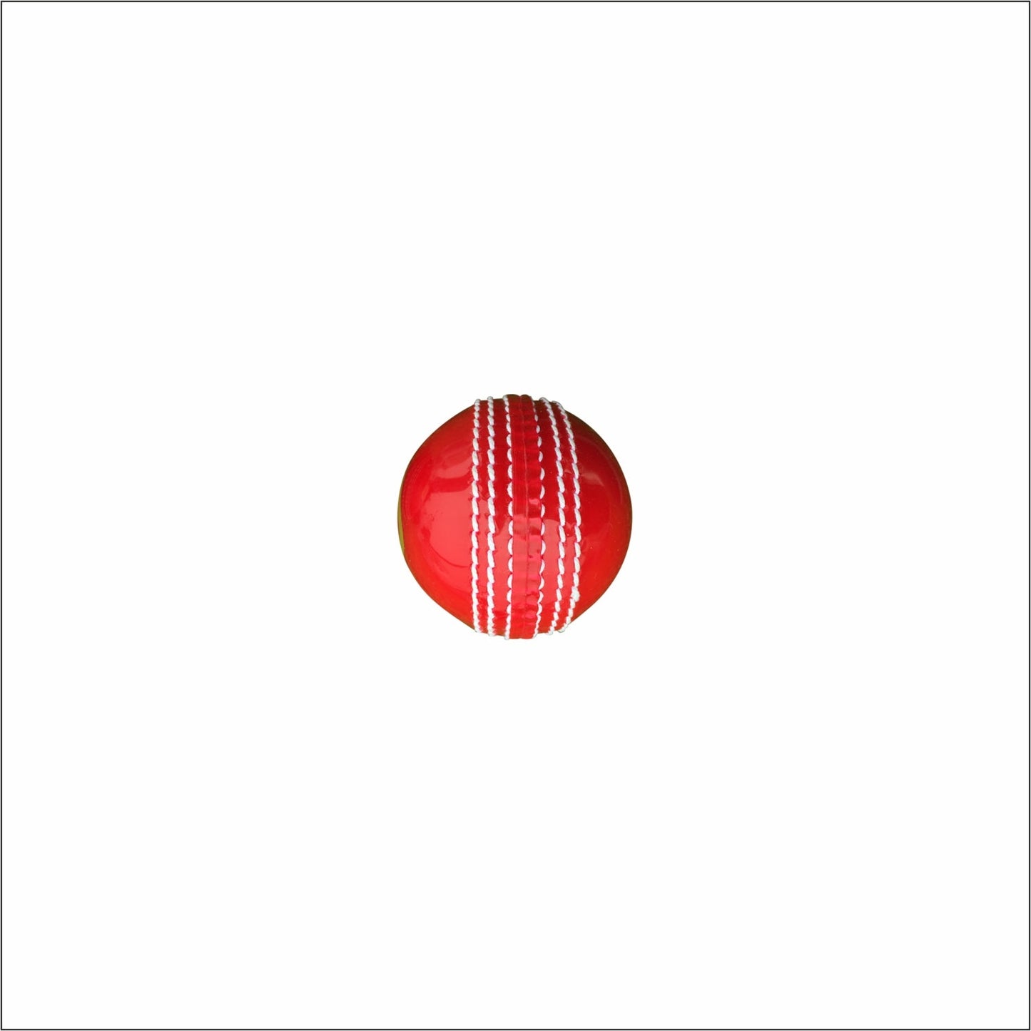 GA Prosoft Cricket Practice Ball | Swing Ball