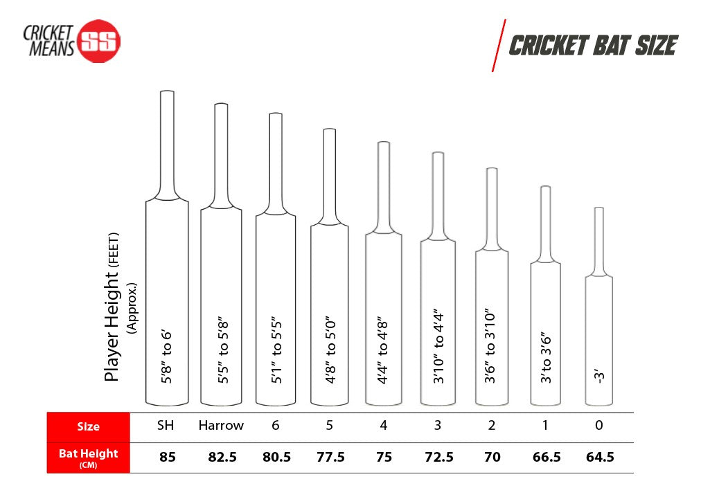 SS Master 100 Kashmir Willow Cricket Bat