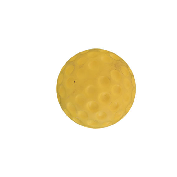 GA Cricket Bowling Machine Ball